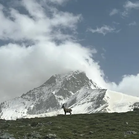 Apollo Horu 19 * Zermatt